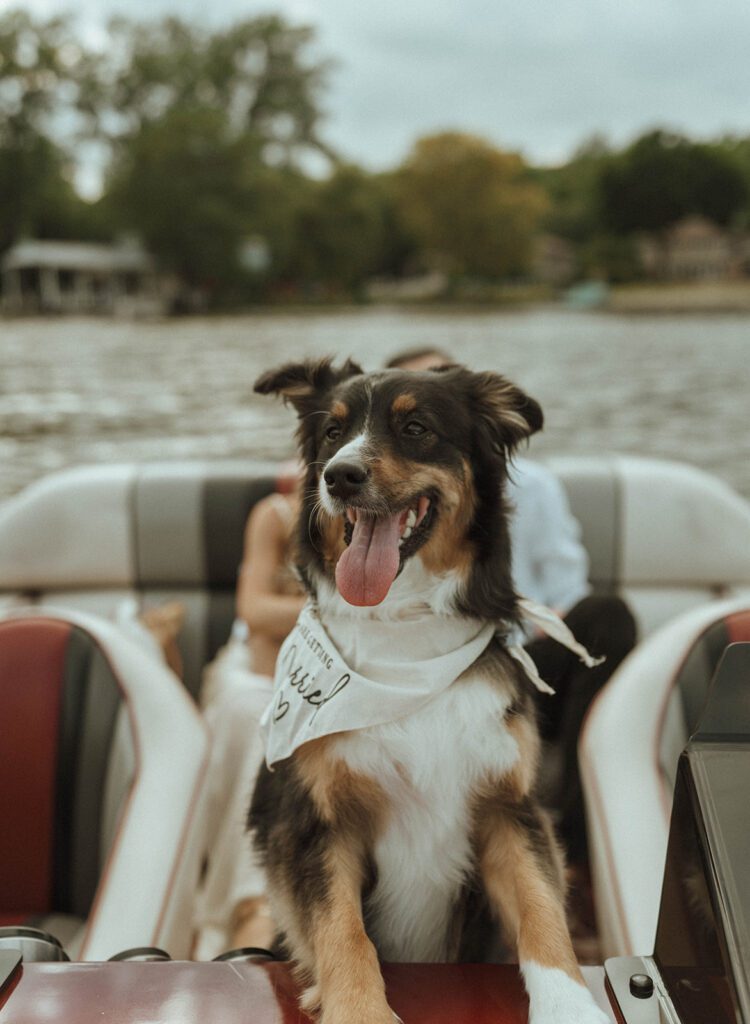 fun photoshoot in a boat in chicago 