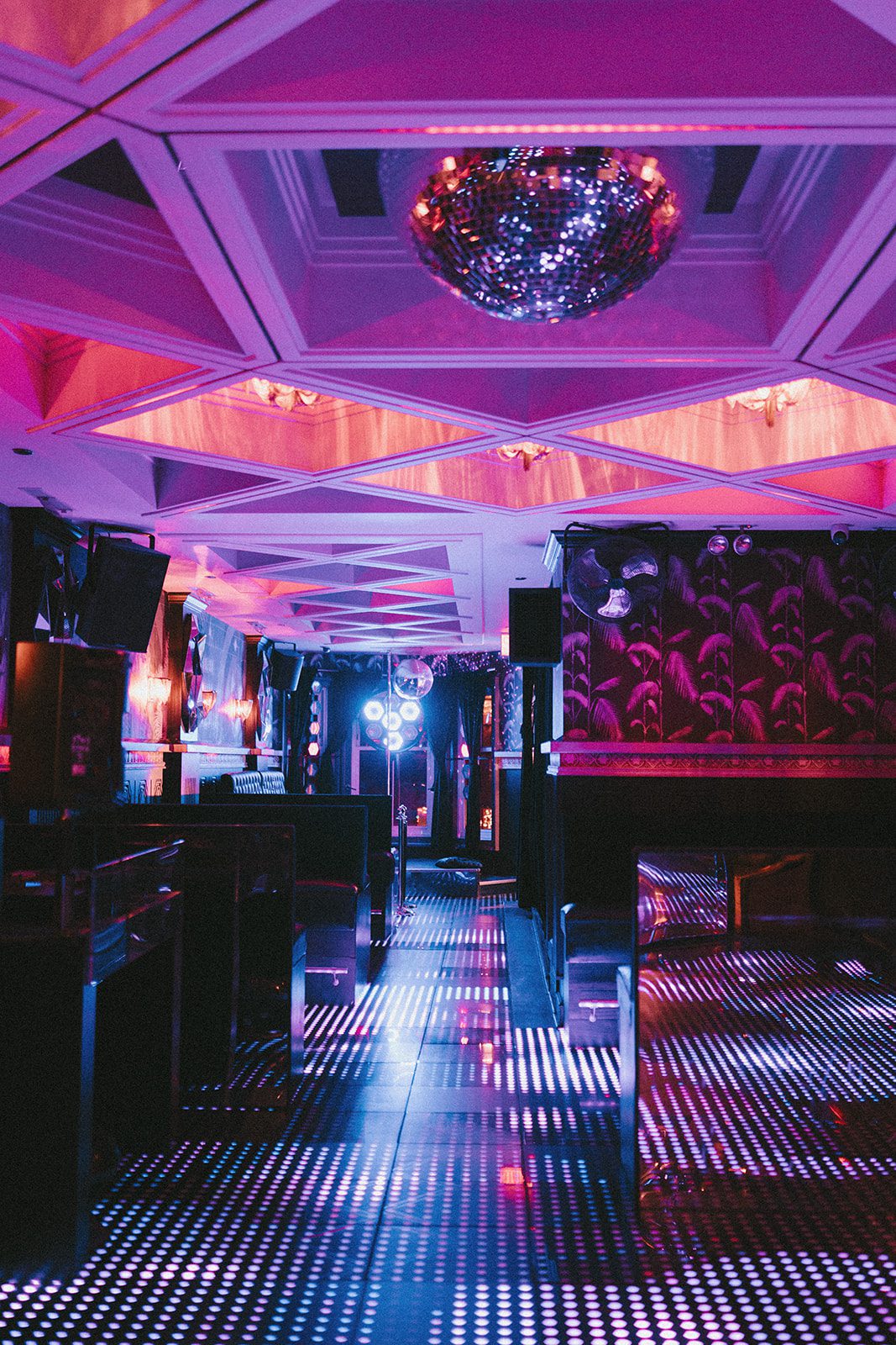 The discotheque at celeste chicago