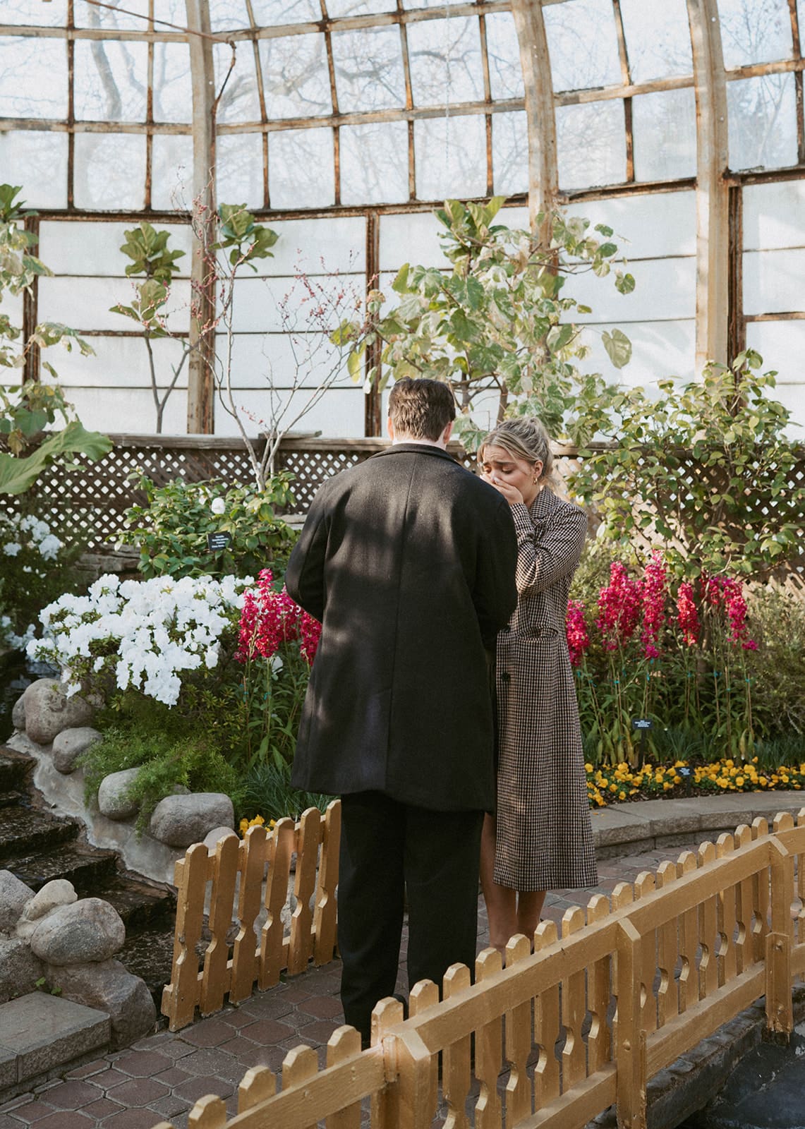 A proposal in a conservatory in Chicago