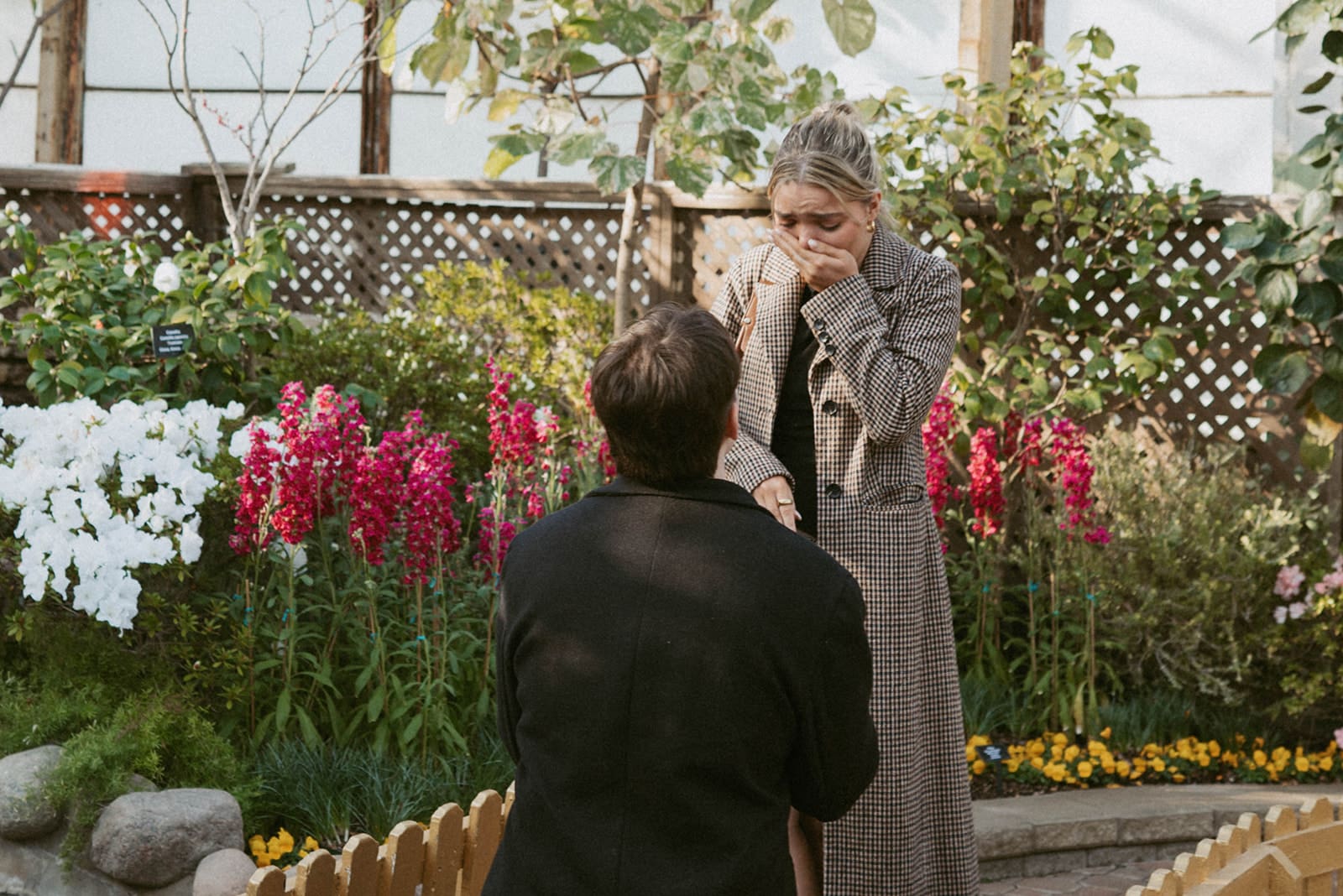 A woman's reaction to a proposal in Chicago
