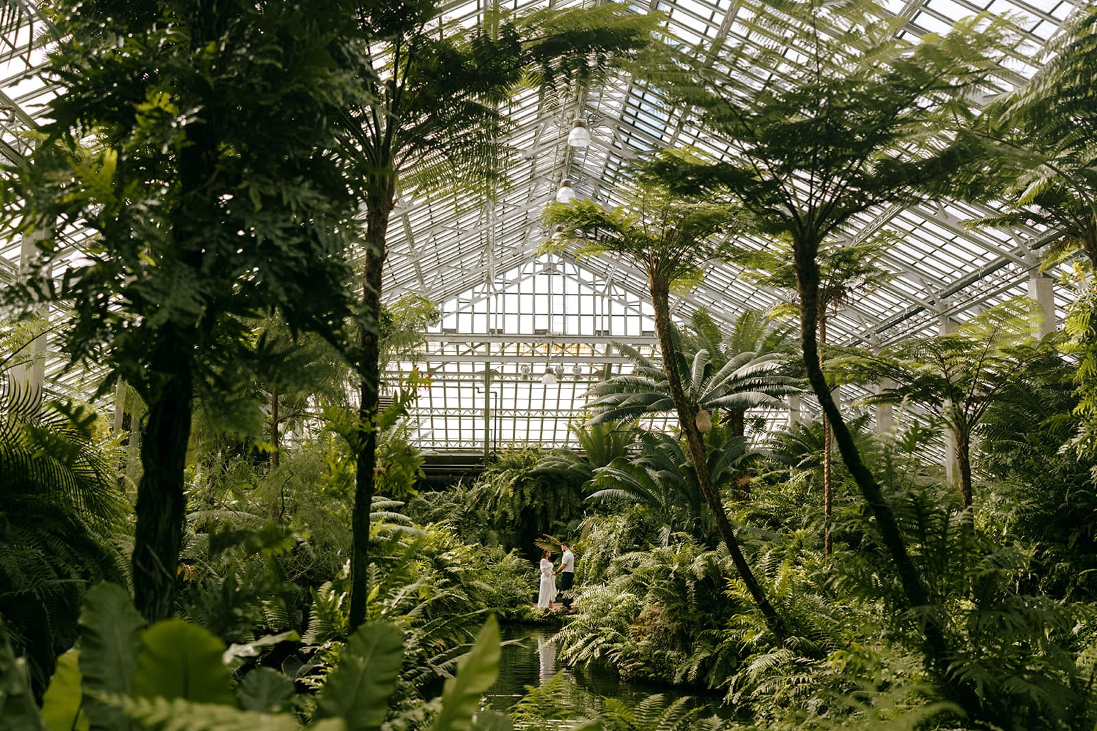 A couple posing for greenhouse engagement photos